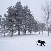 Janet Yaros's photo