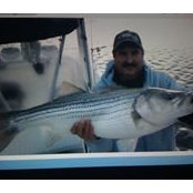 Scott Quinn's photo
