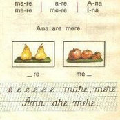 Ana Mindaianu's photo