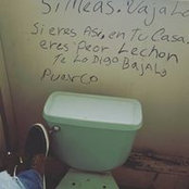 Gabriel Ortega Narvaez's photo