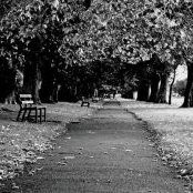 Foto di Aidan Mc Donnell