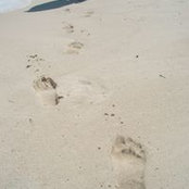 Ghada Jamjoom's photo