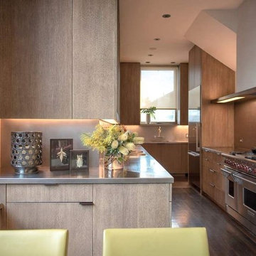 remodeling in Rialto Venice (kitchen)