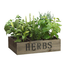 Planters