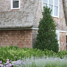 Outdoor Space