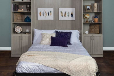 Bedroom - modern guest bedroom idea in Denver