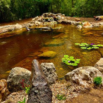 Osceola Pond