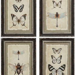 Vintage Reproduction Insect Prints, Set of 4 - Products