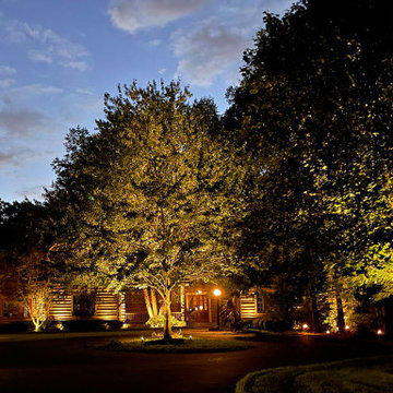 Uplighting