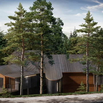 Incline Village NV. Renovation