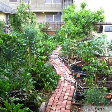 Edible Landscapes