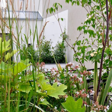 TERRASSE BEE