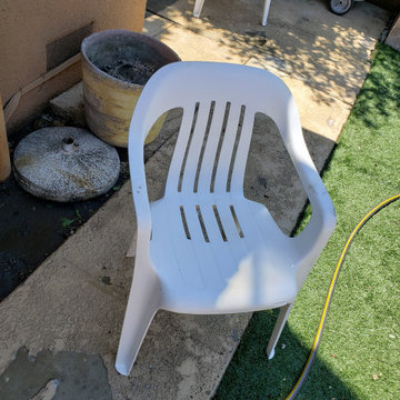 Backyard clean up and remodel