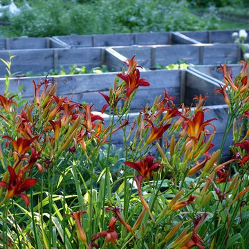 Farmhouse Kitchen Garden