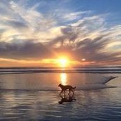 Aaron Cheng's photo