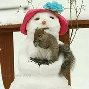 Foto von Patty Stevenson