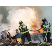 Del Godin's photo