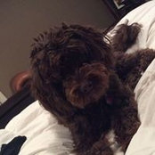 Mike Sutcliffe's photo