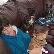 Diane Stepnitz's photo