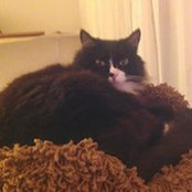Anne Wayman's photo