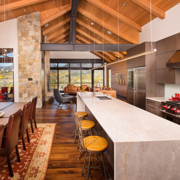 70 Pheasant Tail Ln, Silverthorne