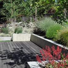 Landscape Ideas