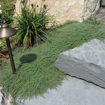 Patio and Gardens - Wayne, NJ
