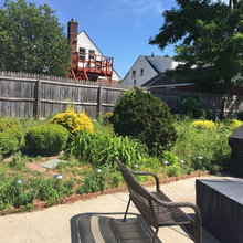 My Backyard Makeover