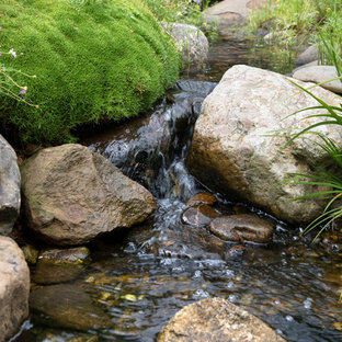 Mittelgroßer Eklektischer Vorgarten mit Teich und direkter Sonneneinstrahlung in Melbourne