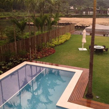 Tropical garden
