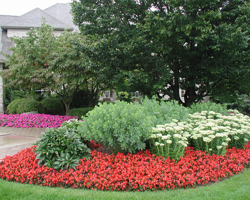 Front Entrance Garden Update