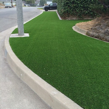 Artificial Grass