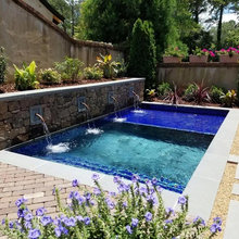 Backyard Ideas