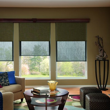 Dual Roller Shade