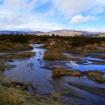 Monsoon