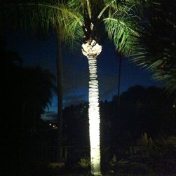 Landscape Lighting in Boynton Beach - Lighting