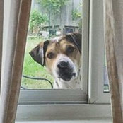 Staci Gwinn's photo