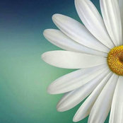 Michelle Freeman's photo