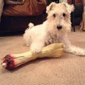 Brad Booth's photo