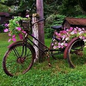 Copeland Cottage's photo