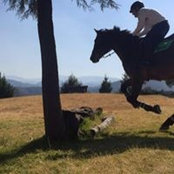 Daniel Alonso's photo