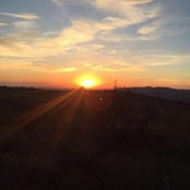 Foto von Robert White