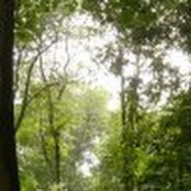 Justin Chellew's photo