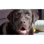 Natalie Sutton's photo