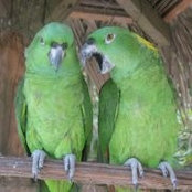 Debbie Belanger's photo
