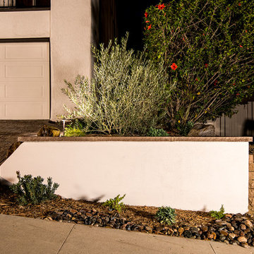 Retaining Wall and Olive Tree