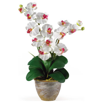 Double Phalaenopsis Silk Orchid Flower Arrangement, White