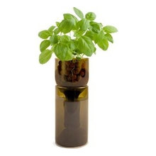 Planting & Gardening