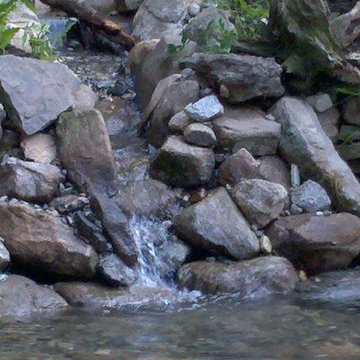 Back Yard Pond - Avon