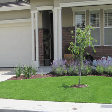 Synthetic Lawns